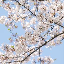 ホテル雅叙園東京の写真11枚目