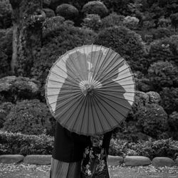 ルーキスの写真33枚目