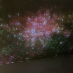 ホテル椿山荘東京の写真12枚目