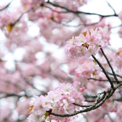 ホテル雅叙園東京の写真27枚目