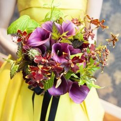 カノビアーノ 福岡の写真4枚目