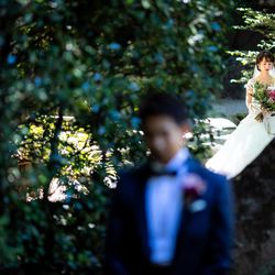 八芳園の写真12枚目