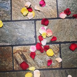 ホテルモントレ グラスミア大阪の写真24枚目