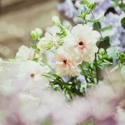 赤坂プリンス クラシックハウスの写真24枚目