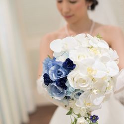 ブルーアステールの写真1枚目