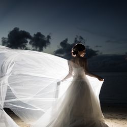 ブルーアステールの写真3枚目