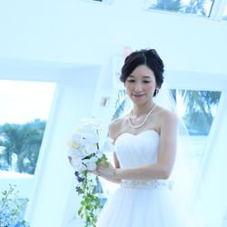 ブルーアステールの写真1枚目