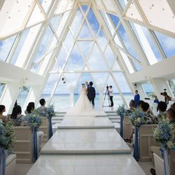 ブルーアステールの写真6枚目