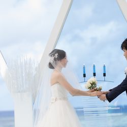 ブルーアステールの写真10枚目