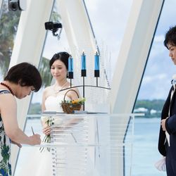 ブルーアステールの写真30枚目