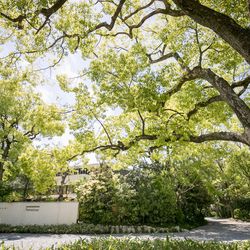 ザ・ガーデンオリエンタル大阪の写真8枚目
