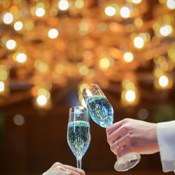 アルタビスタ ガーデンの写真20枚目