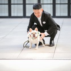 BAYSIDE GEIHINKAN VERANDA minatomiraiの写真36枚目