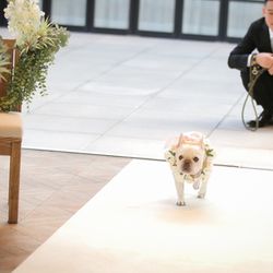 BAYSIDE GEIHINKAN VERANDA minatomiraiの写真33枚目