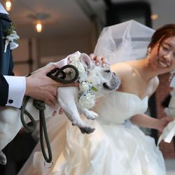 BAYSIDE GEIHINKAN VERANDA minatomiraiの写真7枚目