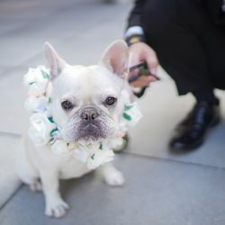 BAYSIDE GEIHINKAN VERANDA minatomiraiの写真6枚目