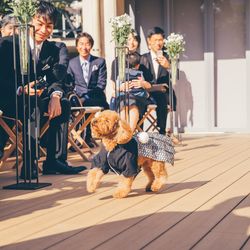 THE SORAKUEN の写真24枚目