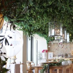 SOLA KOBEの写真35枚目