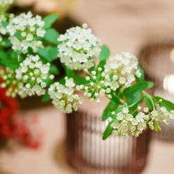 料亭河文の写真3枚目