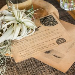 インスタイルウェディング京都の写真27枚目