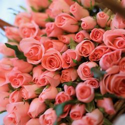 ハートコート横浜の写真22枚目