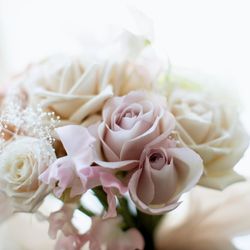 ハートコート横浜の写真33枚目