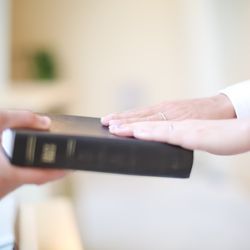 アンジェローブ の写真4枚目