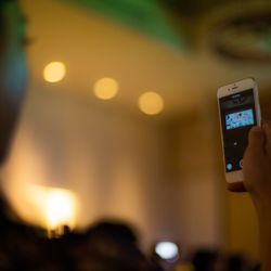 桜苑の写真14枚目