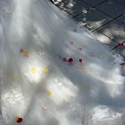 桜苑の写真9枚目