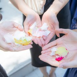 桜苑の写真26枚目