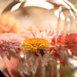 ホテル雅叙園東京の写真24枚目