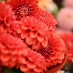 ホテル雅叙園東京の写真2枚目