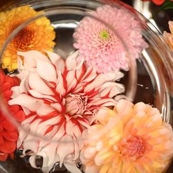 ホテル雅叙園東京の写真30枚目