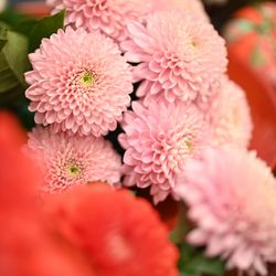 ホテル雅叙園東京の写真3枚目