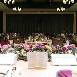 ルーキスの写真28枚目