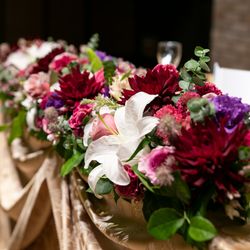 ルーキスの写真15枚目