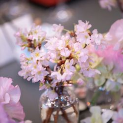 東郷記念館の写真19枚目