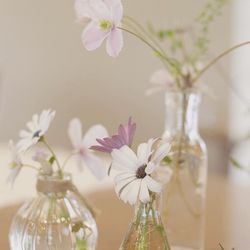 北野ガーデンの写真34枚目