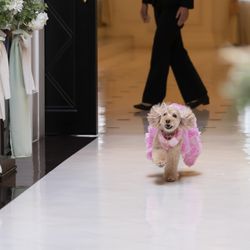 アルモニーアンブラッセ イットハウスの写真26枚目