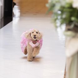 アルモニーアンブラッセ イットハウスの写真9枚目