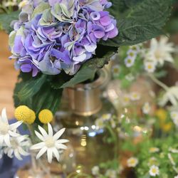 フォーチュン ガーデン 京都の写真17枚目