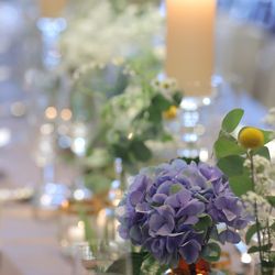 フォーチュン ガーデン 京都の写真14枚目