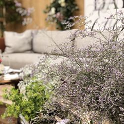 アンジェローブ の写真10枚目