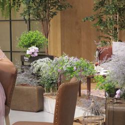 アンジェローブ の写真6枚目