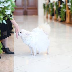 アートグレイス・ウエディングコースト 大阪の写真20枚目