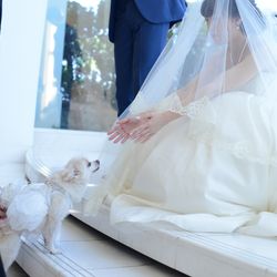 アートグレイス・ウエディングコースト 大阪の写真28枚目