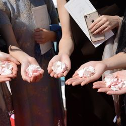 アートグレイス・ウエディングコースト 大阪の写真33枚目