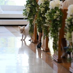 アートグレイス・ウエディングコースト 大阪の写真27枚目