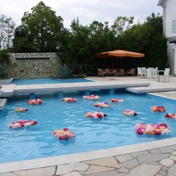 アルカンシエル ベリテ 大阪の写真2枚目