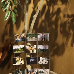 TRUNK HOTELの写真13枚目